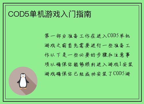 COD5单机游戏入门指南